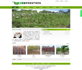 模板下载